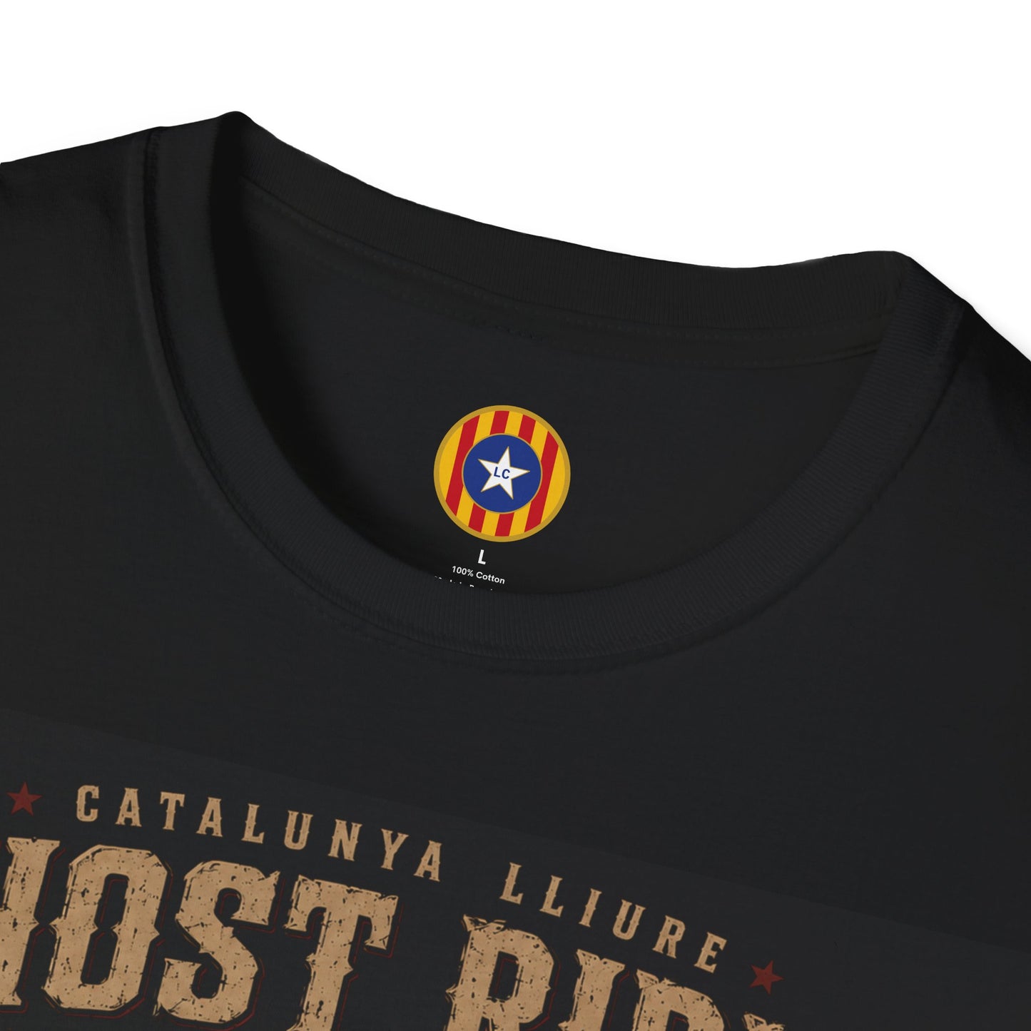 Copy of CLÀSSICS. MOTOR: GHOST RIDER